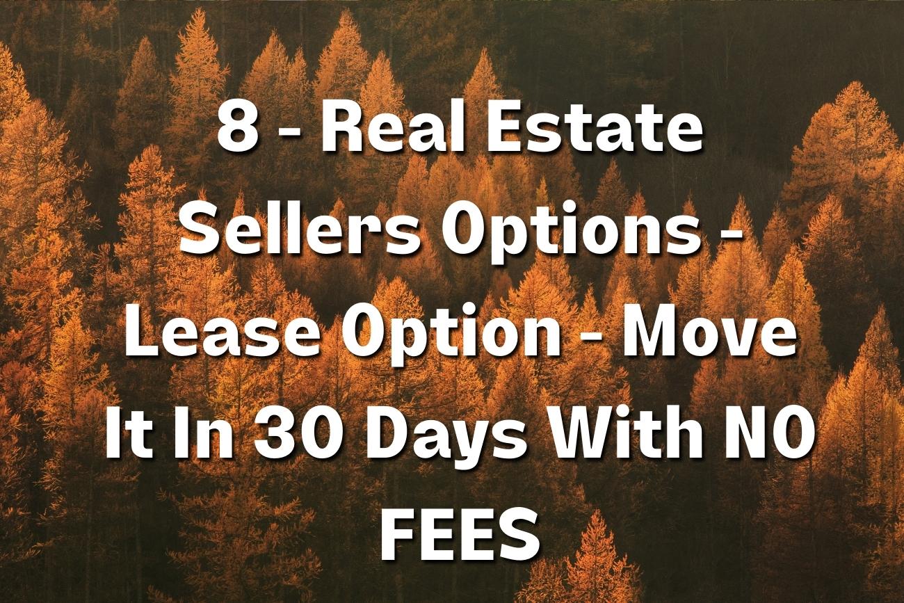8 Real Estate Sellers Options Lease Option Move It In 30 Days